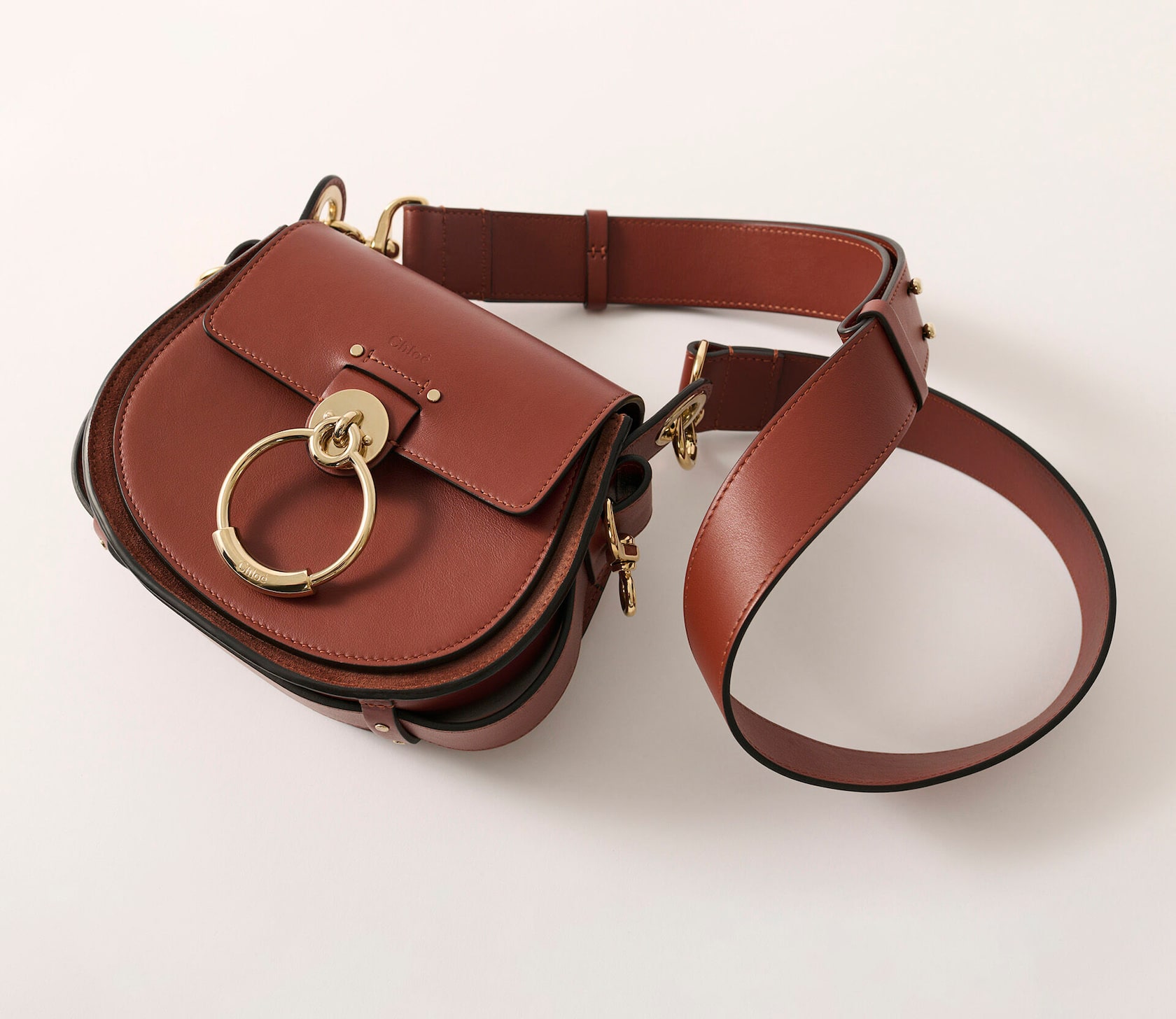 Sepia Brown small tess bag in shiny & suede leather