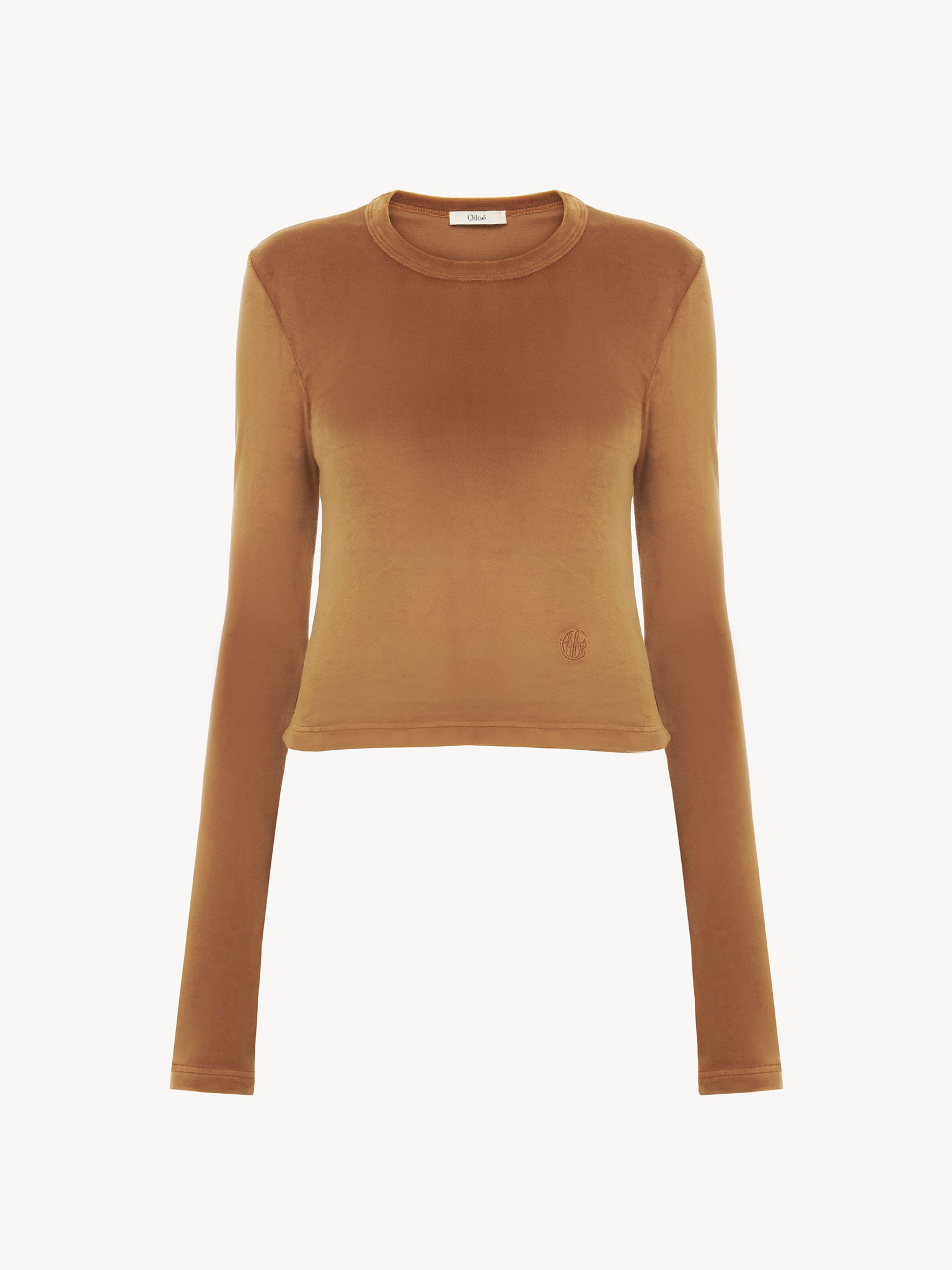 Long-sleeve top in velvet jersey Matte velvet jersey
Autumnal Brown