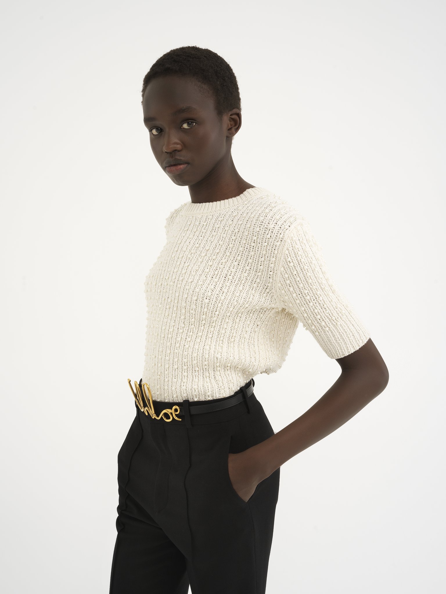 Short-sleeve pearl sweater in wool & cashmere Wool & cashmere pearl knit
Iconic Milk Product detail