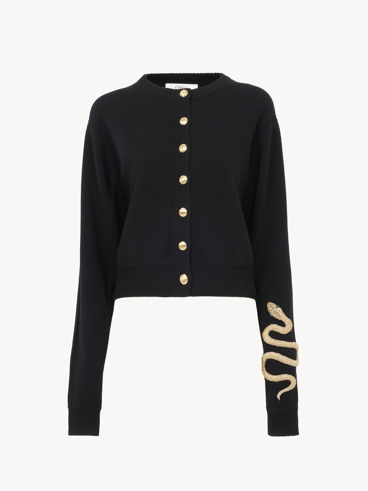 Embroidered cardigan in wool & cashmere knit Snake capsule lower-impact wool knit
Black