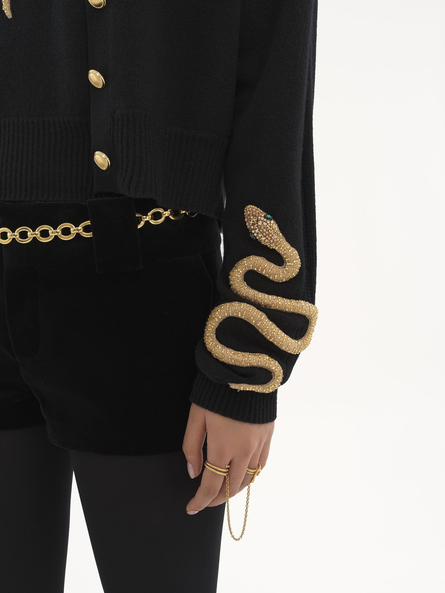 Embroidered cardigan in wool & cashmere knit Snake capsule lower-impact wool knit
Black Front view of the product being worn