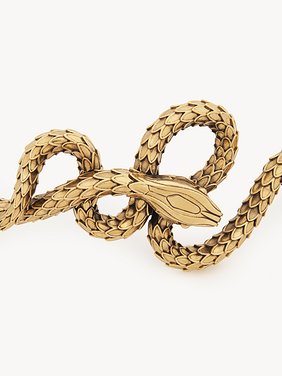 The Chloé Snake belt Brass
Vintage Gold Product detail