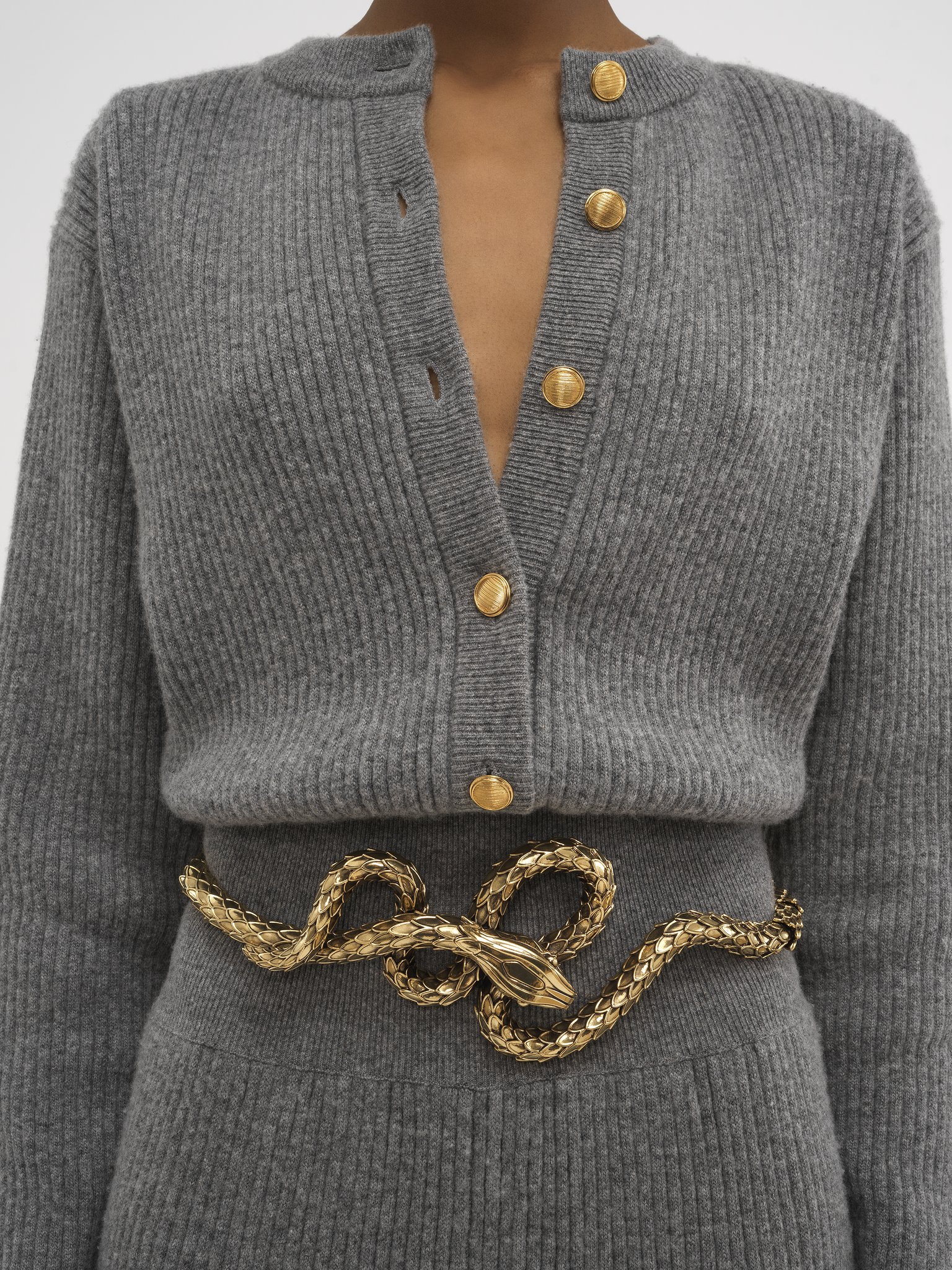 The Chloé Snake belt Brass
Vintage Gold Back view of the product