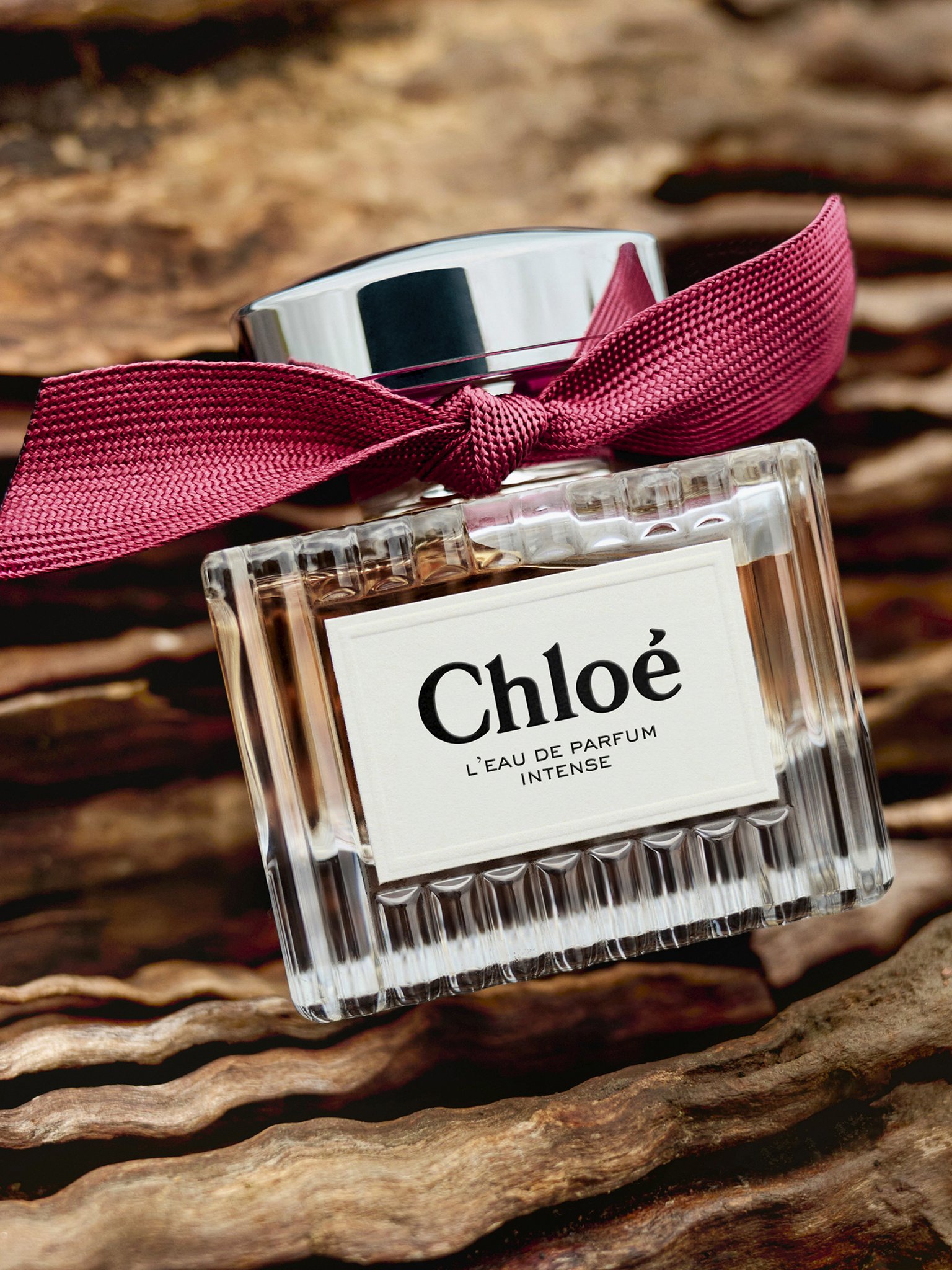 Chloé l’Eau de Parfum Intense  Front view of the product being worn