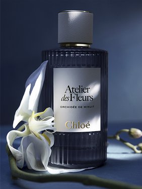 Atelier des Fleurs Orchidée de Minuit   Product detail