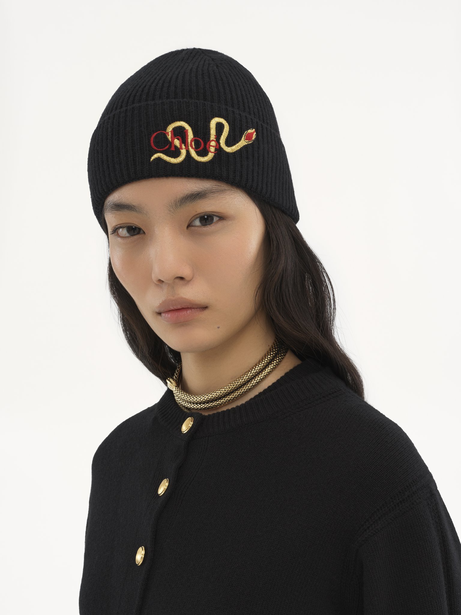 The Chloé Snake beanie in wool & cashmere knit Merino wool & cashmere knit
Black 