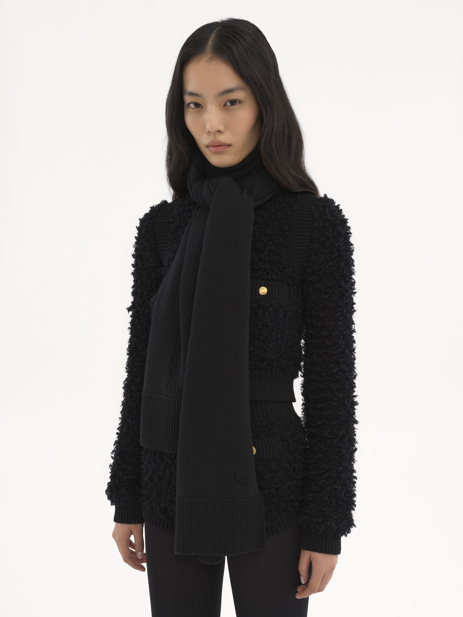 The Chloé Lace Knit scarf in wool & lace jacquard Merino wool & lace jacquard
Black Back view of the product