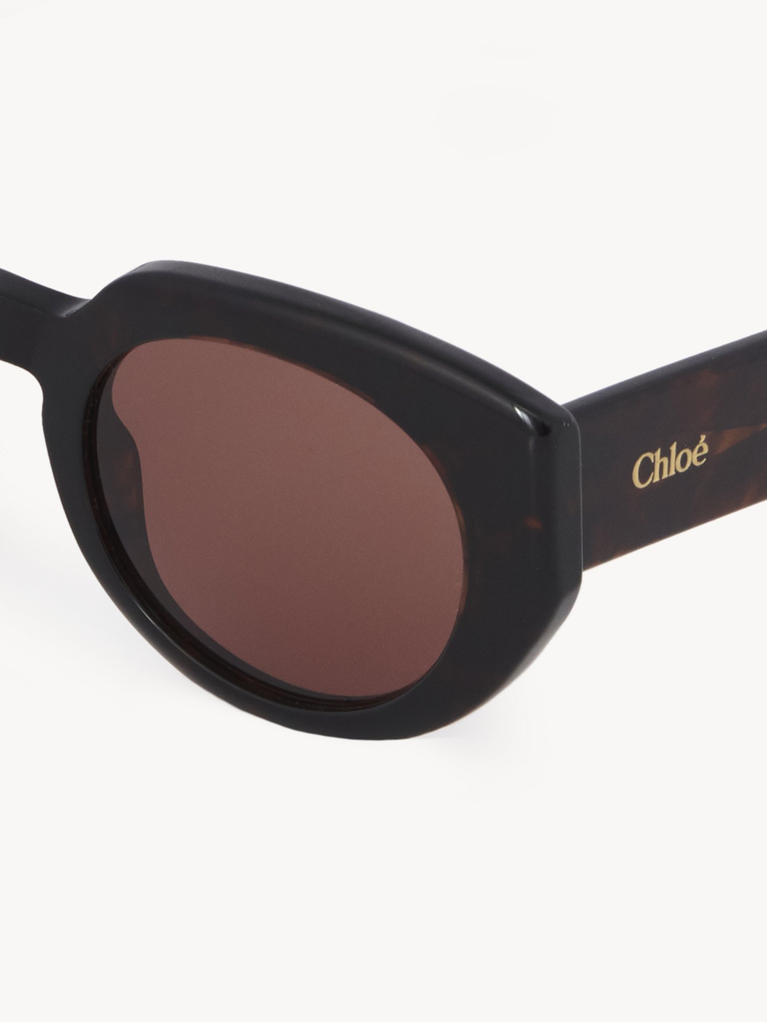 Gayia sunglasses Dark Havana recycled acetate & bio-based nylon
Solid chocolate brown lenses Top view of the product