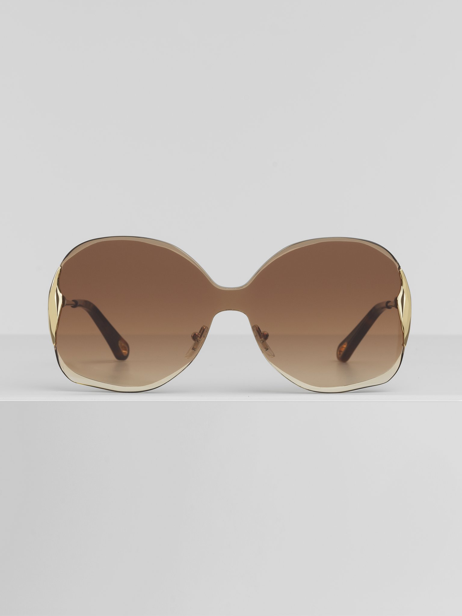 curtis sunglasses