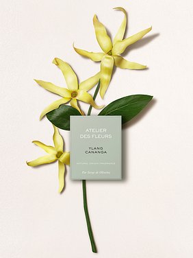 Atelier des Fleurs Ylang Cananga  Product detail