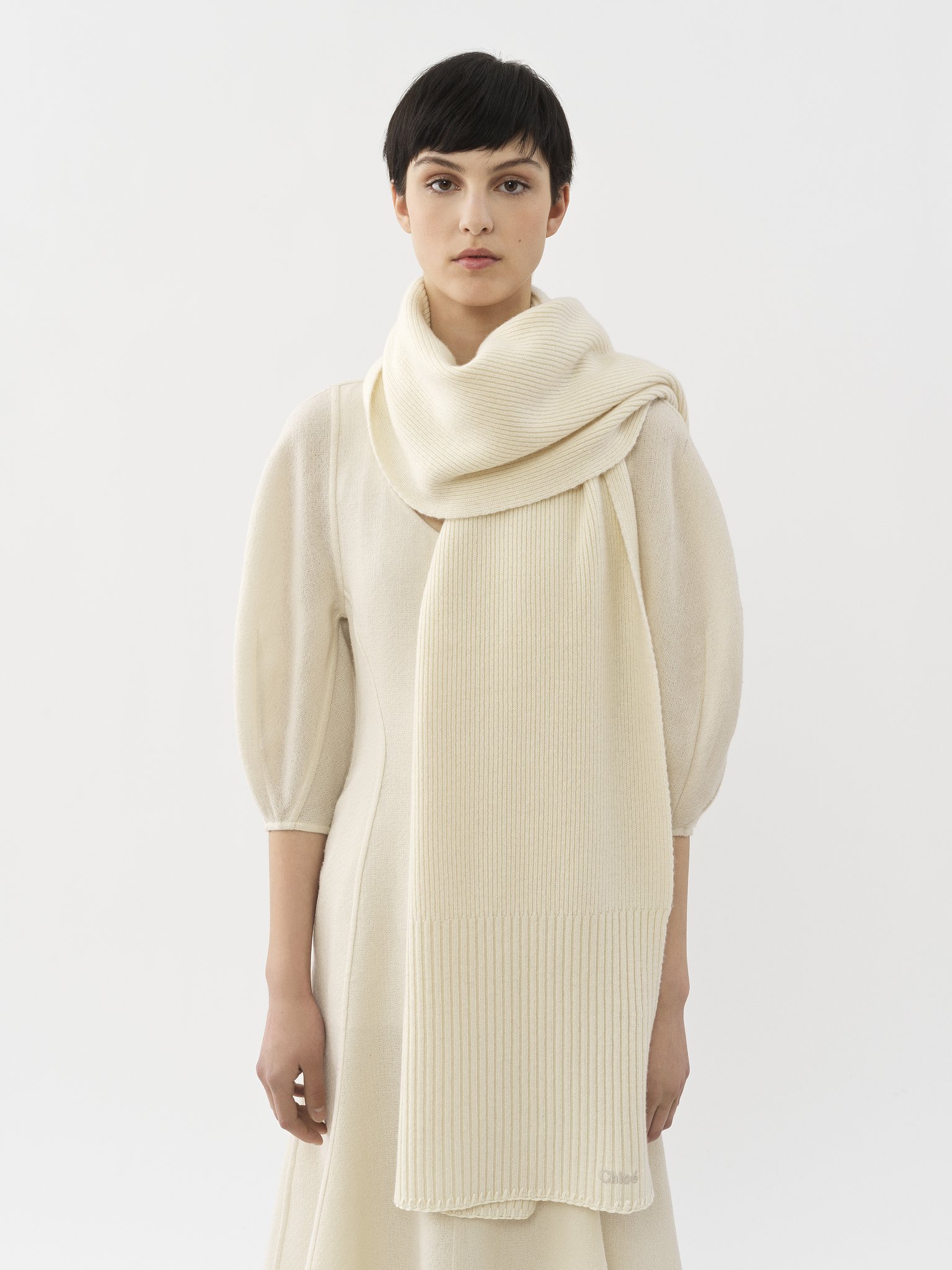 Scarf in superfine wool & cashmere Ribbed knit
Eden White Top view of the product