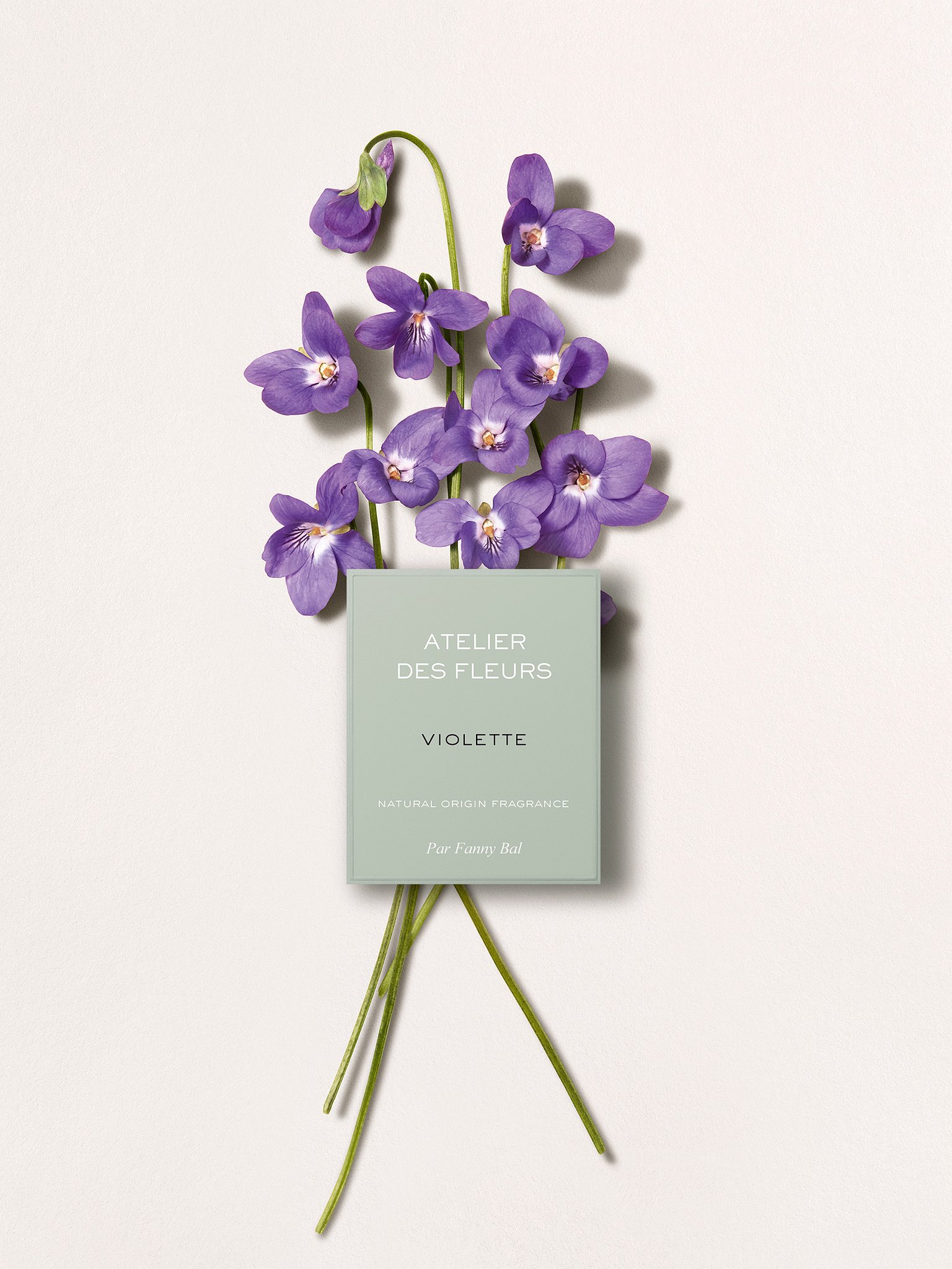 Atelier des Fleurs Violette  Detalle del artículo