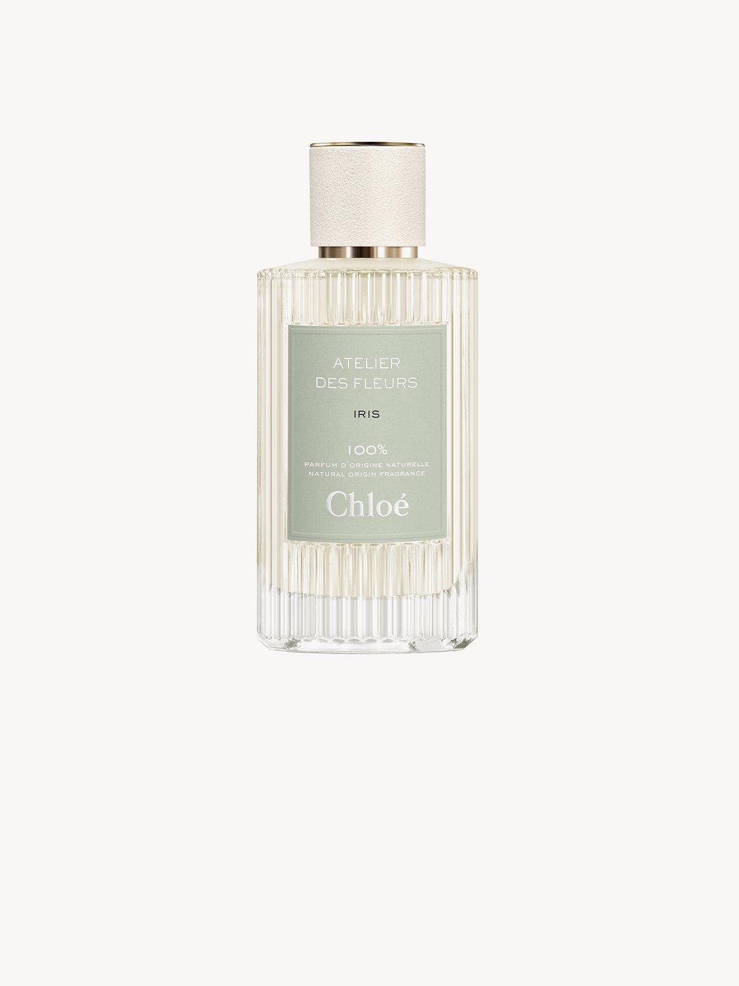 Chloé Atelier Des Fleurs Iris | Chloé JP