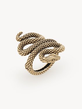 The Chloé Snake bracelet Brass
Vintage Gold Product detail