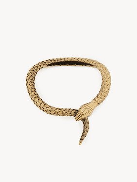 The Chloé Snake necklace Brass
Vintage Gold