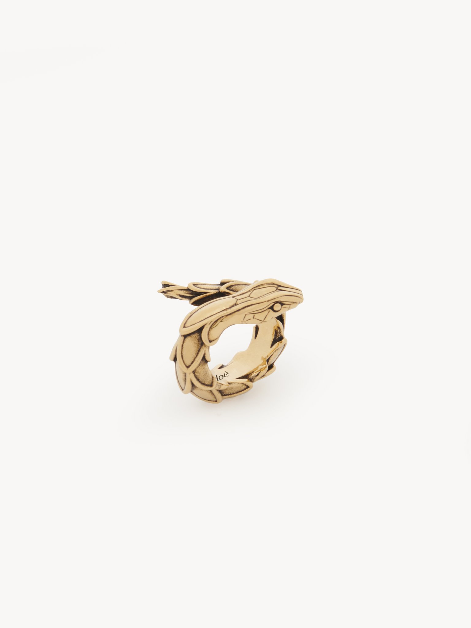 The Chloé Snake ring Brass
Vintage Gold Product detail