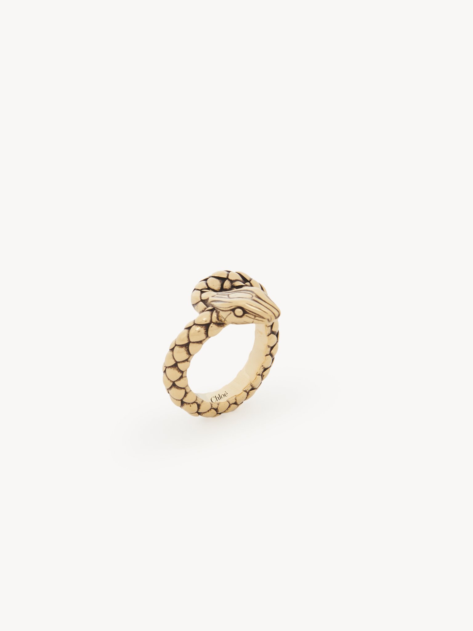 The Chloé Snake ring Brass
Vintage Gold Product detail