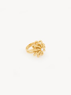 The Chloé Mechanical Flowers ring Brass & crystal glass
Vintage Gold Product detail