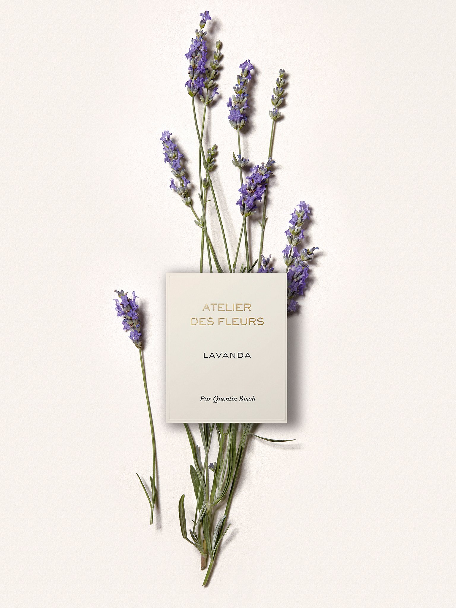 Atelier des Fleurs Lavanda オードパルファム 商品詳細