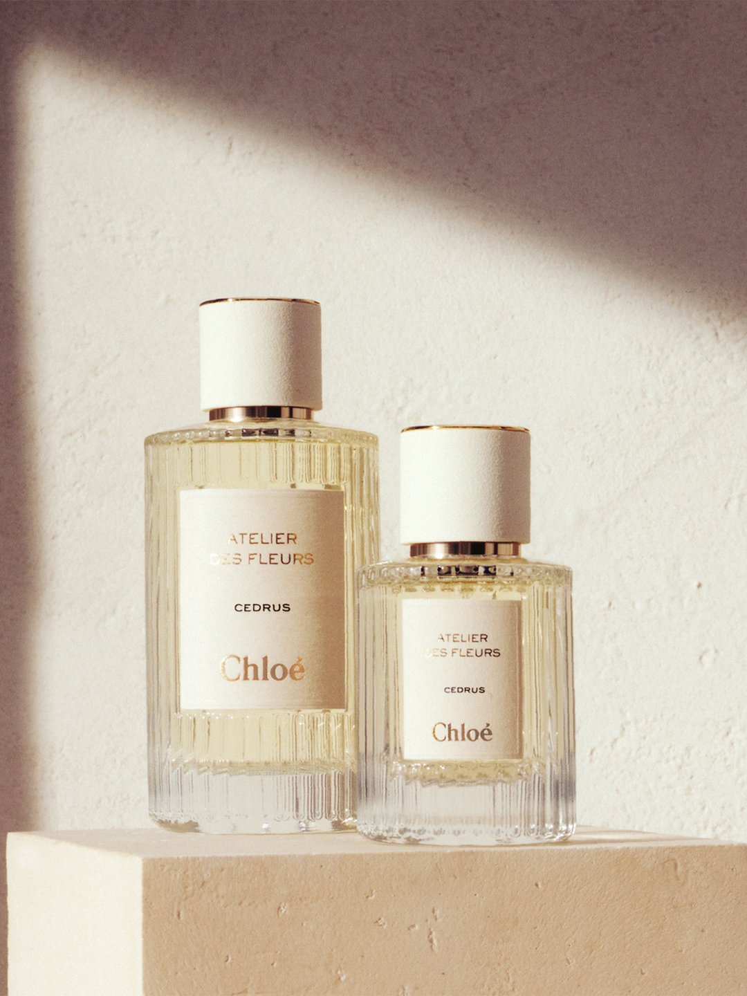 Chloé Atelier Des Fleurs Cedrus | Chloé JP