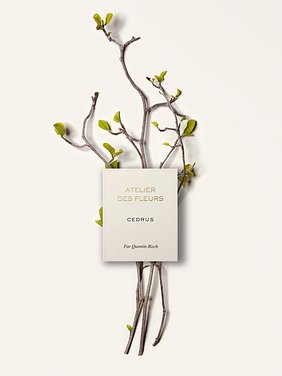 Atelier des Fleurs Cedrus オードパルファム 商品を上からとった写真