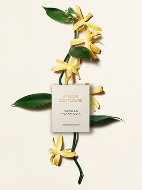 Atelier des Fleurs Vanilla Planifolia オードパルファム 商品詳細